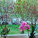 Apartamento Bonito
