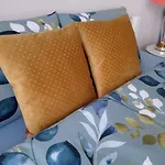 Apartamento Bonito